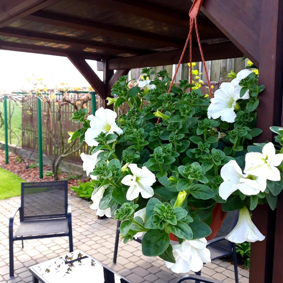 Zielone Zacisze Villa Uniejow Buitenkant foto