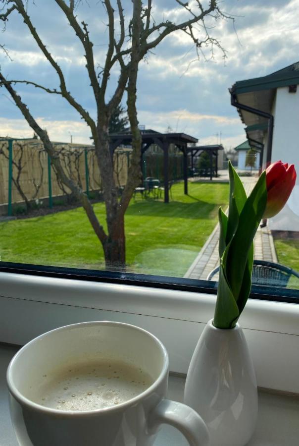 Zielone Zacisze Villa Uniejow Buitenkant foto