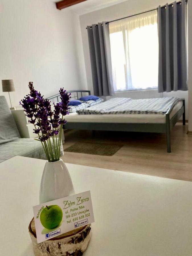 Zielone Zacisze Villa Uniejow Buitenkant foto