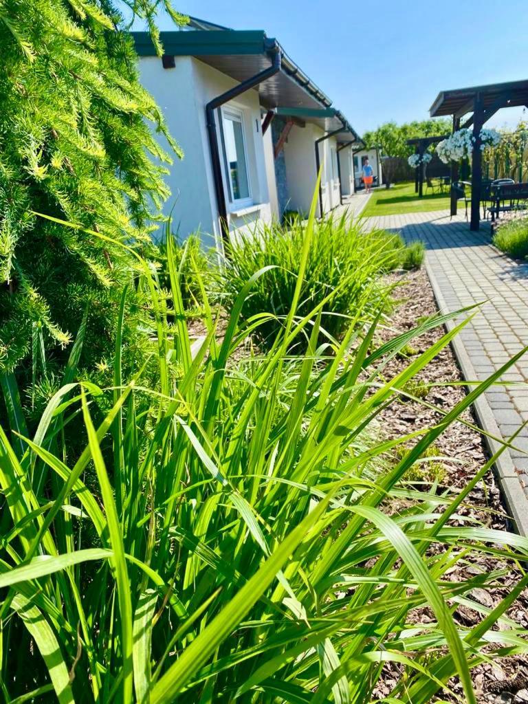 Zielone Zacisze Villa Uniejow Buitenkant foto