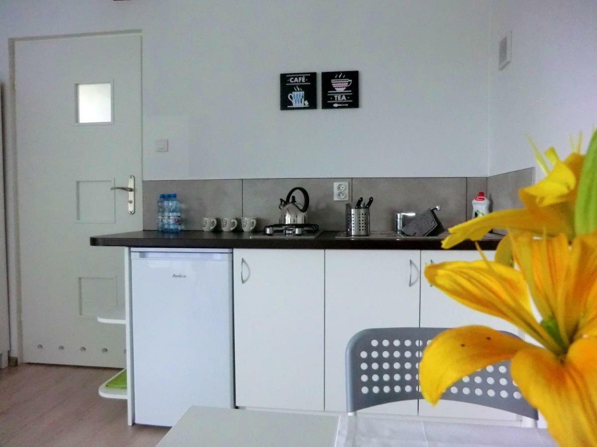 Zielone Zacisze Villa Uniejow Buitenkant foto