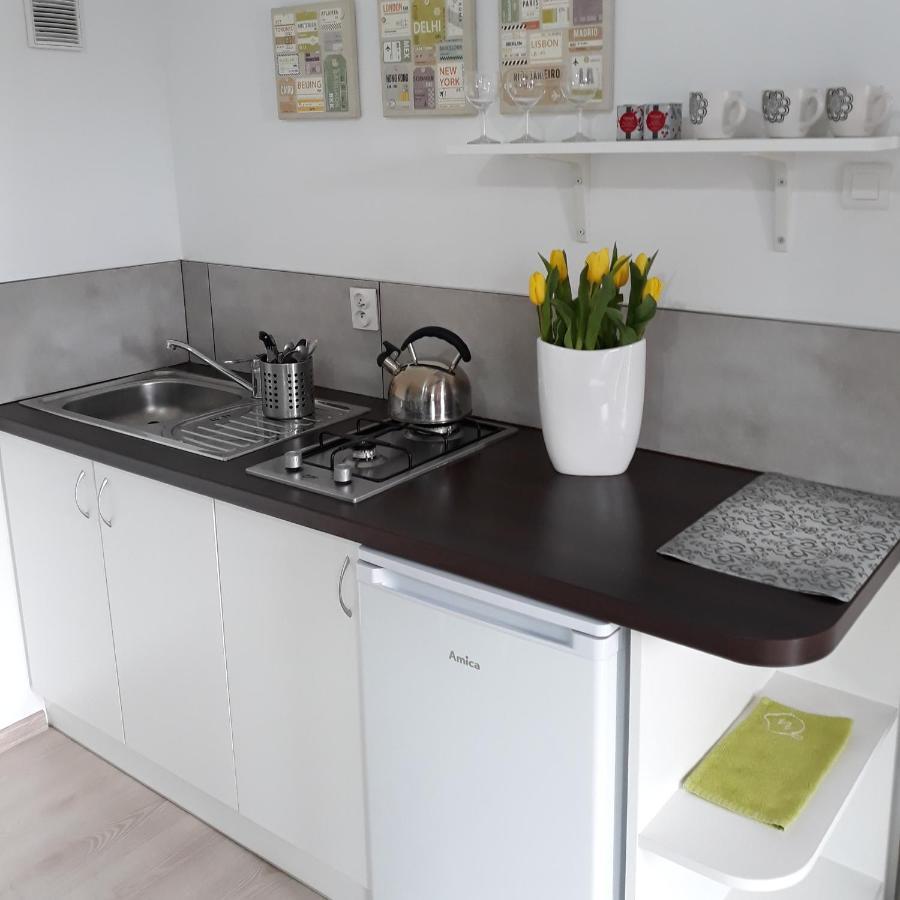 Zielone Zacisze Villa Uniejow Buitenkant foto